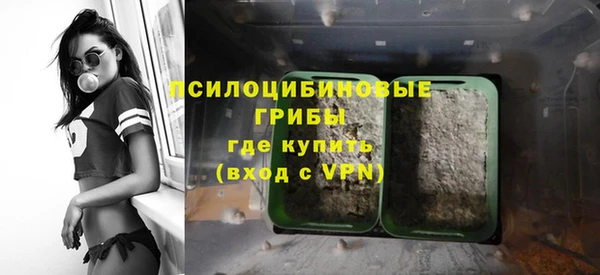 стафф Алзамай