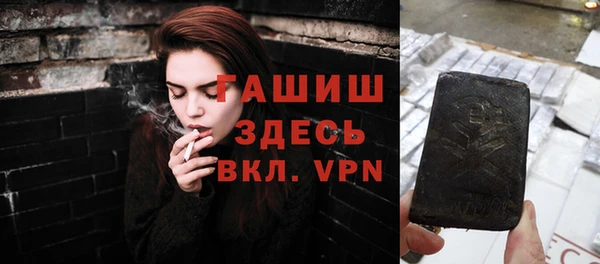 эйфоретик Няндома
