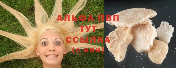 стафф Алзамай
