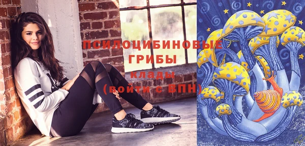 стафф Алзамай
