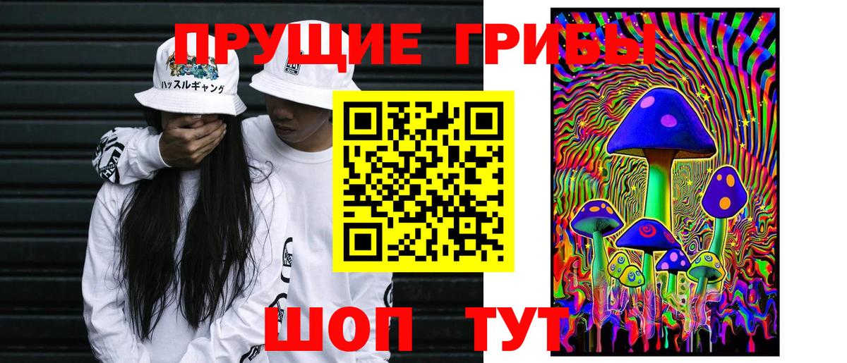Галлюциногенные грибы GOLDEN TEACHER Саки