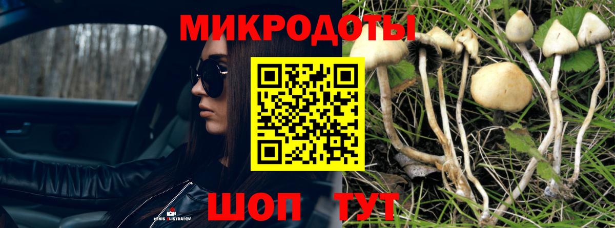 Галлюциногенные грибы мухоморы  Вход с VPN  Саки 